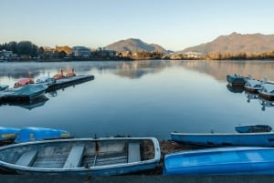 Tokyo: Mt. Fuji Hidden Gems and Aokigahara Forest Tour