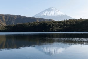 Tokyo: Mt. Fuji Hidden Gems and Aokigahara Forest Tour