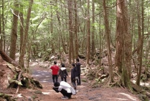Tokyo: Mt. Fuji Hidden Gems and Aokigahara Forest Tour