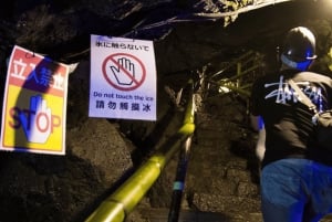 Tokyo: Mt. Fuji Hidden Gems and Aokigahara Forest Tour