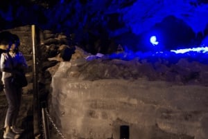 Tokyo: Mt. Fuji Hidden Gems and Aokigahara Forest Tour