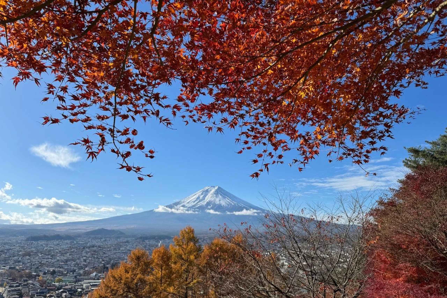 Tokio: Tour zu den Highlights des Fuji mit geführter Bootstour auf dem Kawaguchi-See