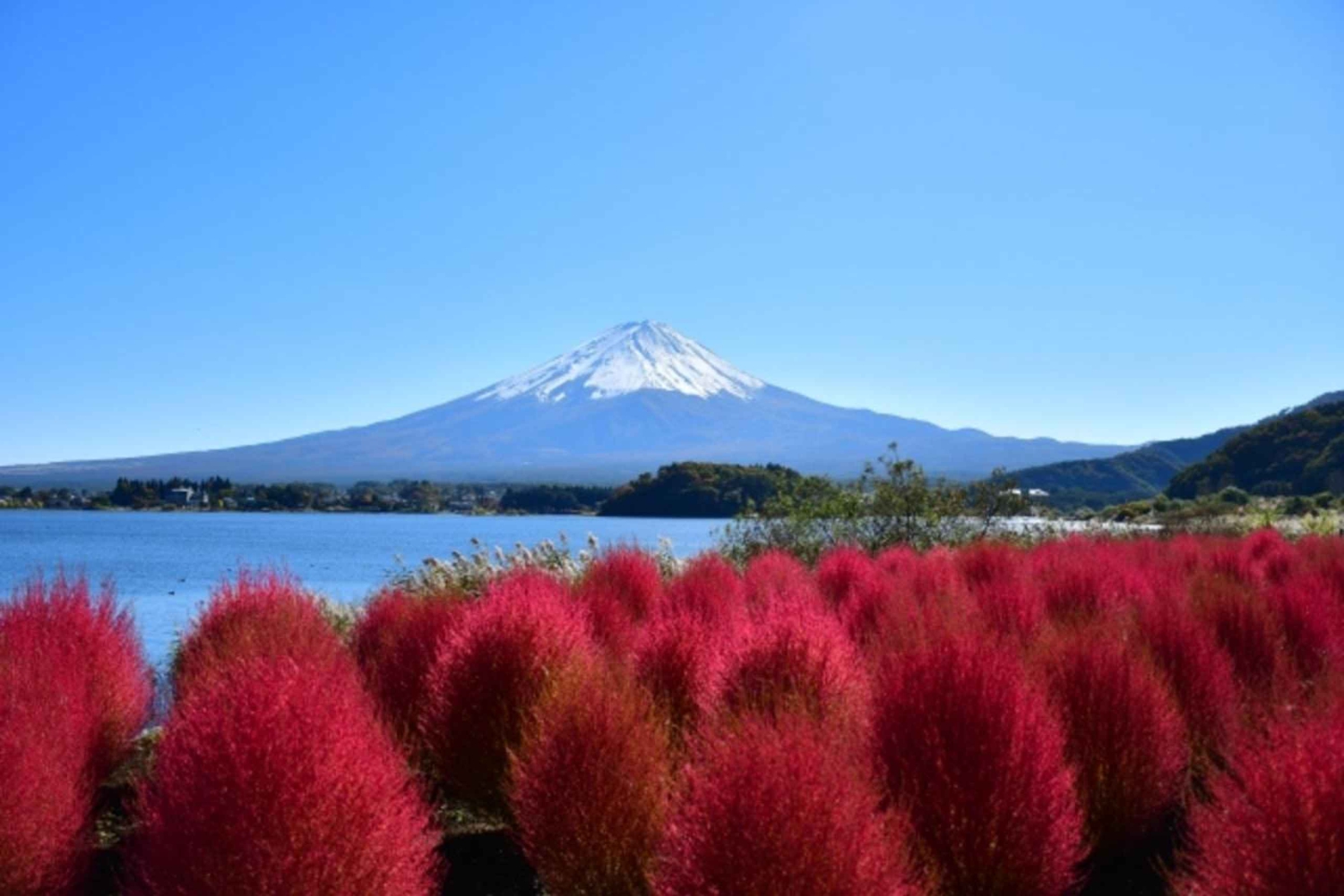Tokio: Tour zu den Highlights des Fuji mit geführter Bootstour auf dem Kawaguchi-See