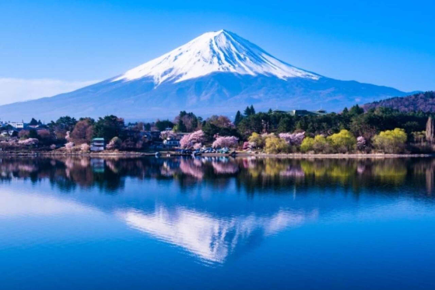 Tokio: Tour zu den Highlights des Fuji mit geführter Bootstour auf dem Kawaguchi-See