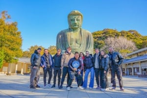 Tokyo : excursion d'une journée au mont Fuji, à Kamakura, au Grand Bouddha et au lac Ashi