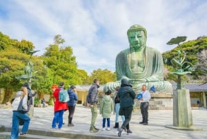 Tokyo : excursion d'une journée au mont Fuji, à Kamakura, au Grand Bouddha et au lac Ashi