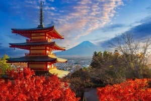 Tokio: wycieczka 1-dniowa – góra Fudżi, Kawagoe i świątynia Hikawa