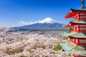 Tokio: wycieczka 1-dniowa – góra Fudżi, Kawagoe i świątynia Hikawa