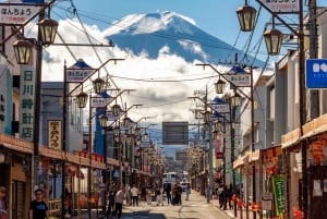 Tokio: wycieczka 1-dniowa – góra Fudżi, Kawagoe i świątynia Hikawa