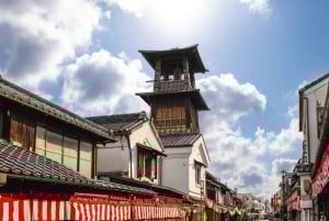 Tokio: wycieczka 1-dniowa – góra Fudżi, Kawagoe i świątynia Hikawa