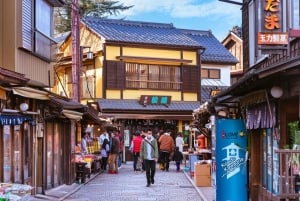 Tokio: wycieczka 1-dniowa – góra Fudżi, Kawagoe i świątynia Hikawa