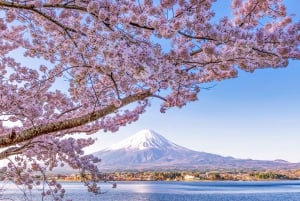 Tokyo: Mount Fuji, Kawaguchi Lake, Oshino Hakkai 1-Day Trip