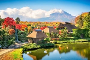 Tokyo: Mount Fuji, Kawaguchi Lake, Oshino Hakkai 1-Day Trip