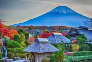 Tokyo: Mount Fuji, Kawaguchi Lake, Oshino Hakkai 1-Day Trip