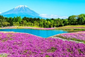 Tokyo: Mount Fuji, Kawaguchi Lake, Oshino Hakkai 1-Day Trip