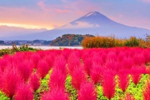 Tokyo: Mount Fuji, Kawaguchi Lake, Oshino Hakkai 1-Day Trip