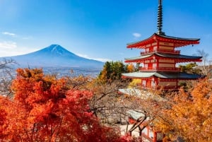 Tokyo: Mount Fuji, Kawaguchi Lake, Oshino Hakkai 1-Day Trip