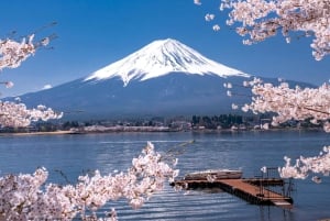 Tokyo: Fujis 5:e station, Kawaguchiko-tur med åktur med båt