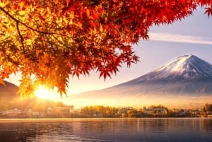Vanuit Tokio: aanpasbare privétour van een dag naar de berg Fuji