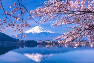 Vanuit Tokio: aanpasbare privétour van een dag naar de berg Fuji