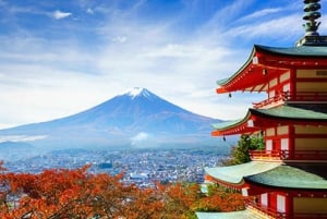Vanuit Tokio: aanpasbare privétour van een dag naar de berg Fuji