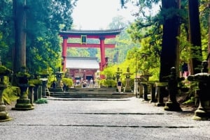 Vanuit Tokio: aanpasbare privétour van een dag naar de berg Fuji
