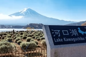 Vanuit Tokio: aanpasbare privétour van een dag naar de berg Fuji