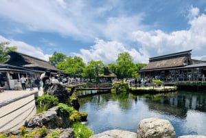 Vanuit Tokio: aanpasbare privétour van een dag naar de berg Fuji