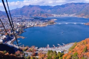 Vanuit Tokio: aanpasbare privétour van een dag naar de berg Fuji