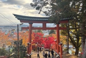 Spektakulära Fuji: Natur och lokala smaker