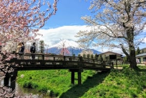 Spektakulära Fuji: Natur och lokala smaker