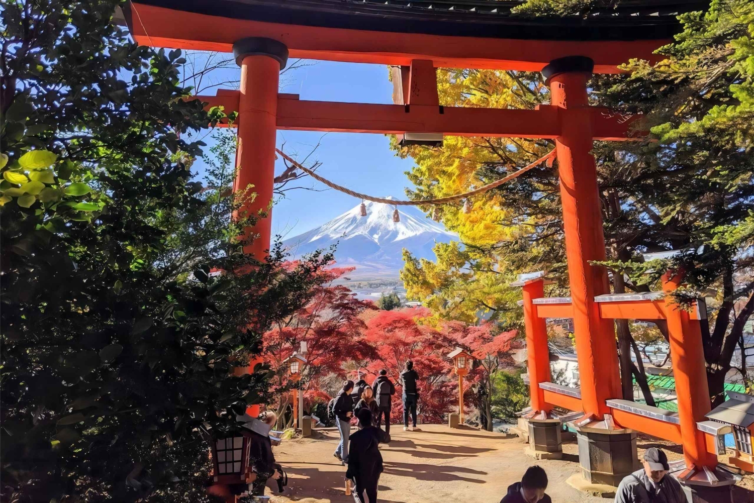 Tokyo: Fuji-berget och Kawaguchi-sjön – heldagsutflykt för Instagram