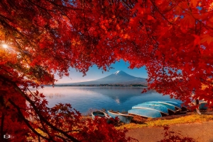 Tokyo: Fuji-berget och Kawaguchi-sjön – heldagsutflykt för Instagram