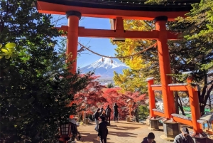Tokyo: Fuji-berget och Kawaguchi-sjön – heldagsutflykt för Instagram