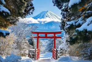 Tokyo: Fuji-berget och Kawaguchi-sjön – heldagsutflykt för Instagram