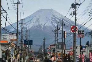 Tokyo: Fuji-berget och Kawaguchi-sjön – heldagsutflykt för Instagram