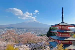 Tokyo: Fuji-berget och Kawaguchi-sjön – heldagsutflykt för Instagram
