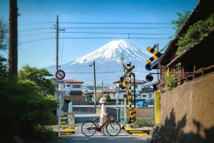 Tokyo: Fuji-berget och Kawaguchi-sjön – heldagsutflykt för Instagram