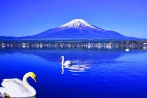 Tokyo: Mt. Fuji, Lake Kawaguchi,Lake Yamanaka,Onsen Day Tour