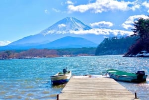 Tokyo: Mt. Fuji, Lake Kawaguchi,Lake Yamanaka,Onsen Day Tour