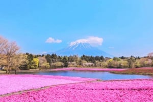 Tokyo: Mt. Fuji, Lake Kawaguchi,Lake Yamanaka,Onsen Day Tour