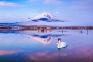 Tokyo: Mt. Fuji, Lake Kawaguchi,Lake Yamanaka,Onsen Day Tour