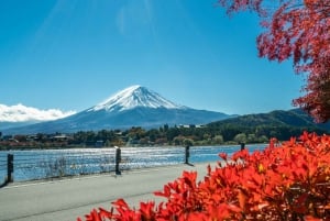 Tokyo: Mt. Fuji, Lake Kawaguchi,Lake Yamanaka,Onsen Day Tour