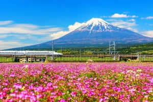 Tokyo: Mt. Fuji, Lake Kawaguchi,Lake Yamanaka,Onsen Day Tour