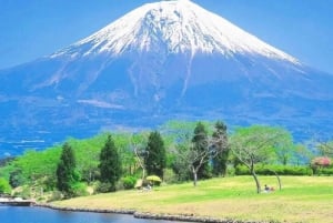 Tokyo: Mt. Fuji, Lake Kawaguchi,Lake Yamanaka,Onsen Day Tour