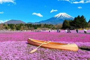 Tokyo: Mt. Fuji, Lake Kawaguchi,Lake Yamanaka,Onsen Day Tour