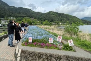 Tokyo: Fujibjerget og Kawaguchisøen – tur i lille gruppe – 6 steder