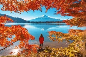 Tokyo: Mt Fuji Lake Kawaguchi & Yamanaka Hot Spring Day Tour