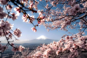 Tokyo: Mt Fuji Lake Kawaguchi & Yamanaka Hot Spring Day Tour