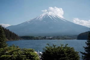 Tokyo: Mt Fuji Lake Kawaguchi & Yamanaka Hot Spring Day Tour